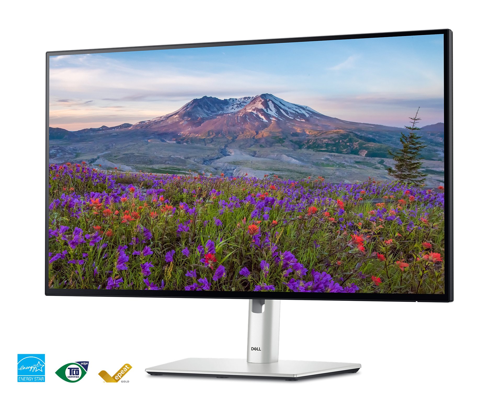 Dell UltraSharp U2424H